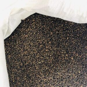 Black Pepper