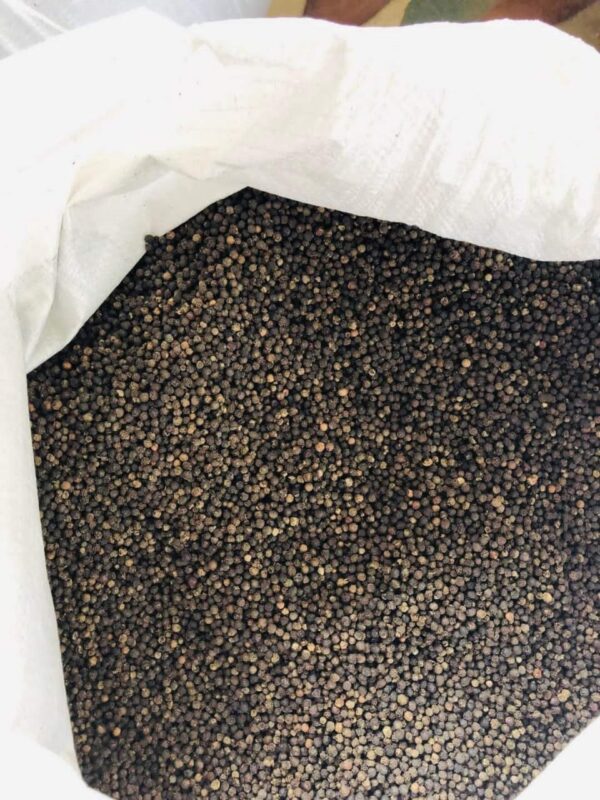 Black Pepper