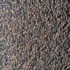 Black pepper