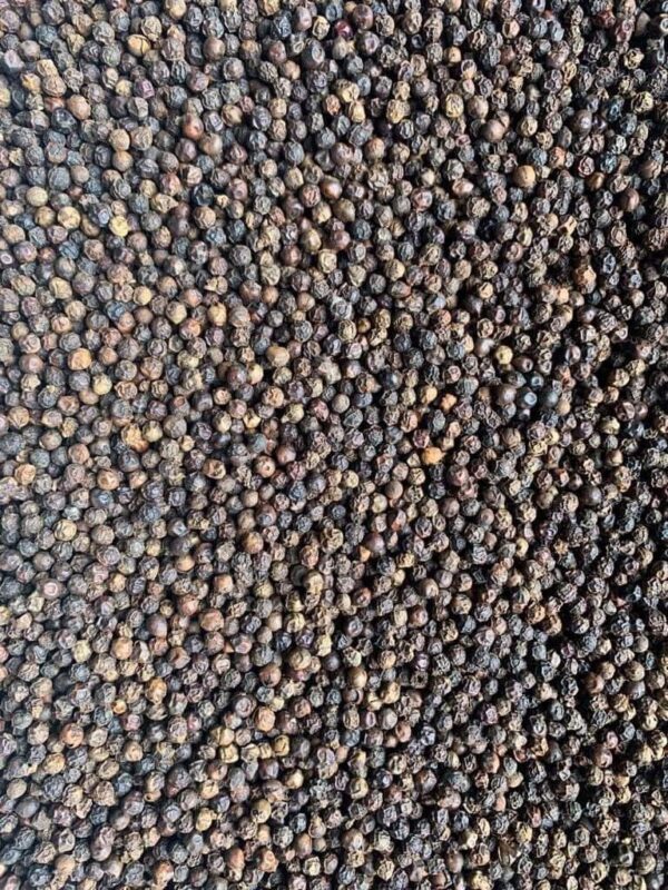 Black pepper