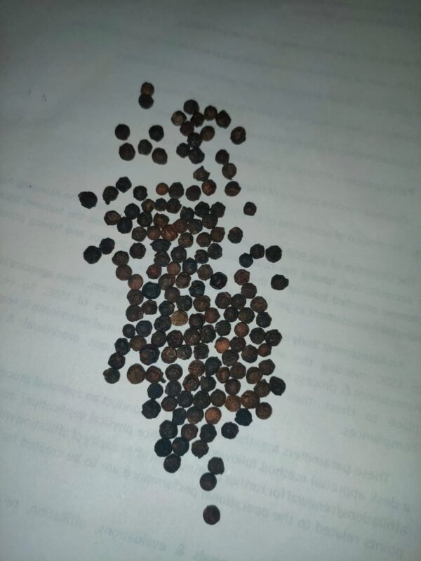 Black pepper