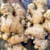 RAW GINGER