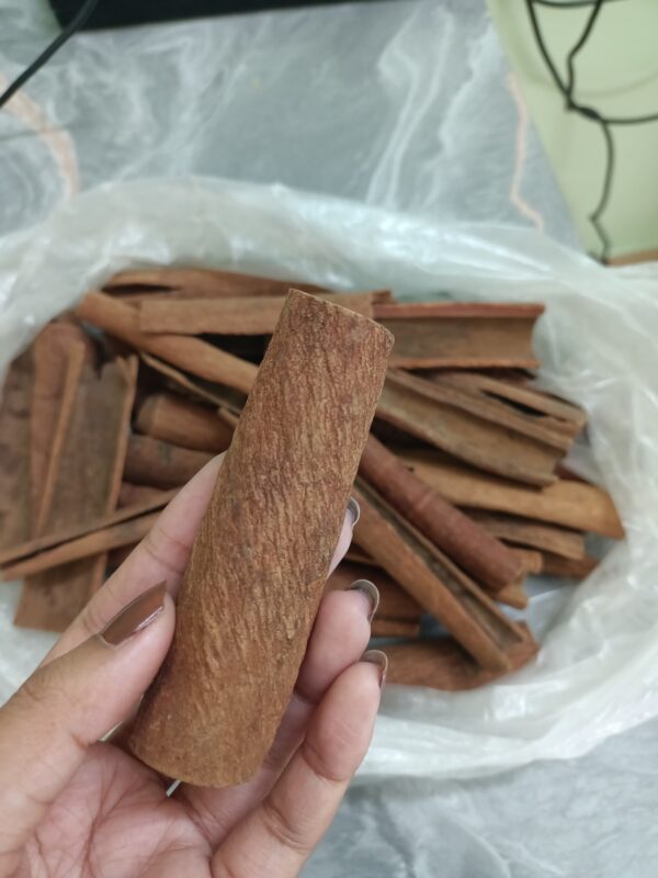 Premium Meghalaya Dalchini (Cinnamon)