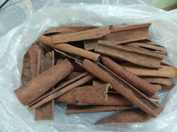 Premium Meghalaya Dalchini cinnamon sticks for wholesale and bulk supply