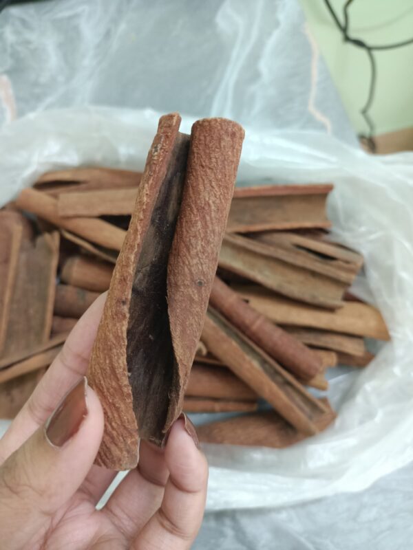 Premium Meghalaya Dalchini (Cinnamon)